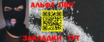 дмт Кингисепп