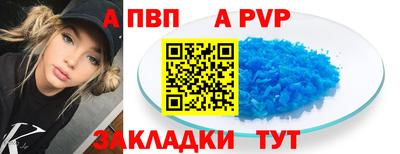 дмт Кингисепп