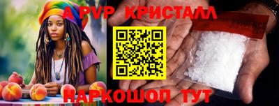 дмт Кингисепп