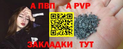 дмт Кингисепп