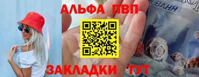 дмт Кингисепп